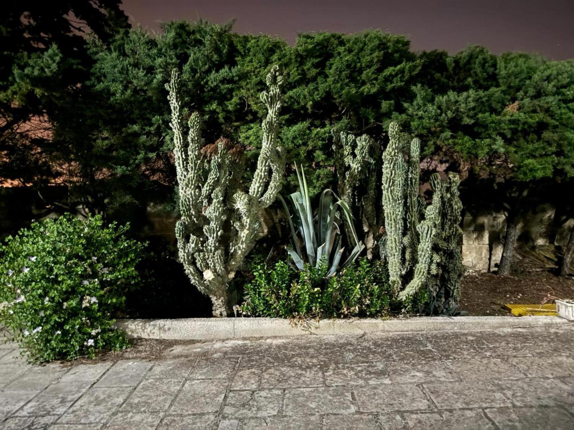 Villa Torretta - Mare Salento Marina di Lizzano Exteriör bild