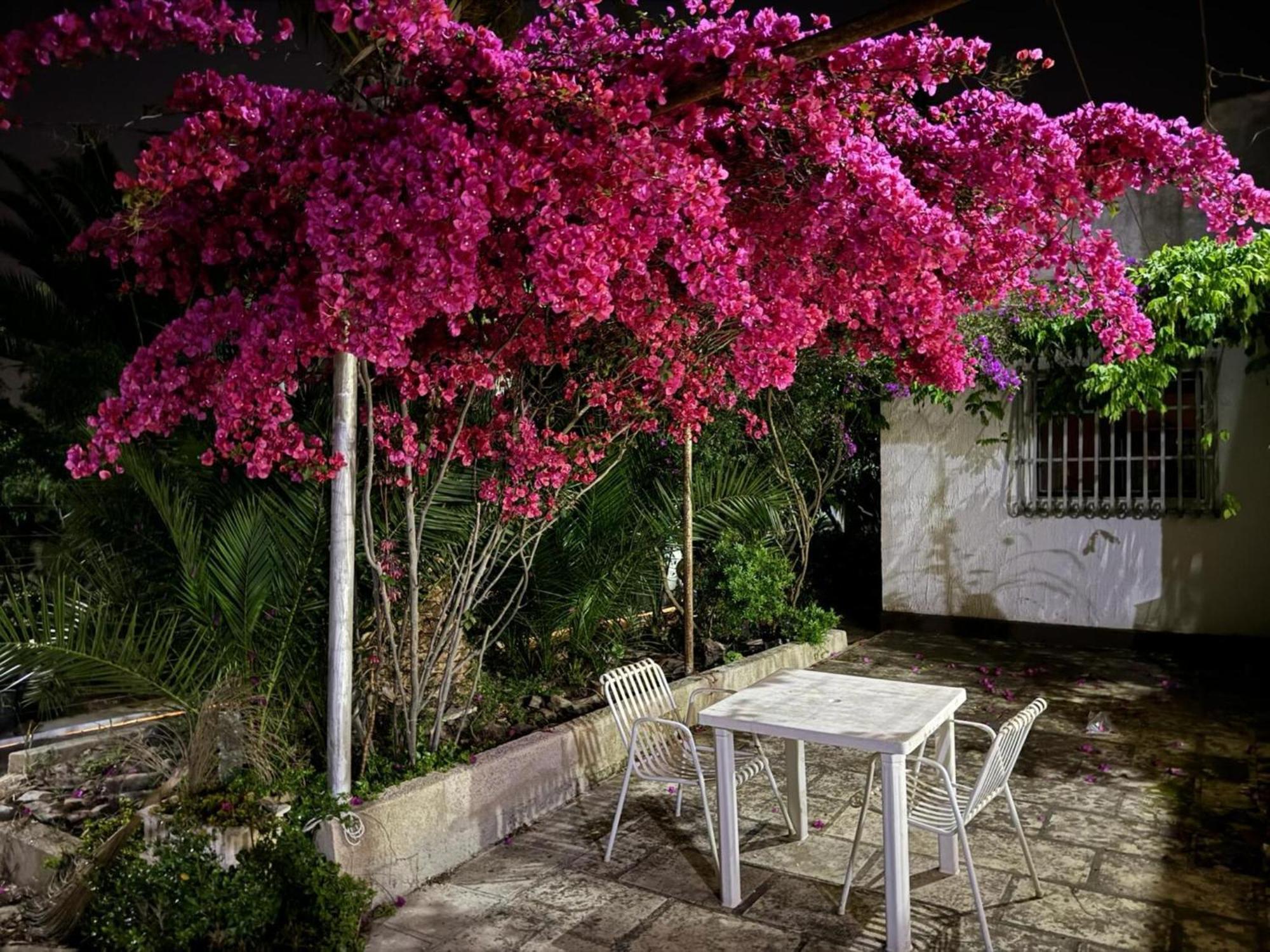 Villa Torretta - Mare Salento Marina di Lizzano Exteriör bild