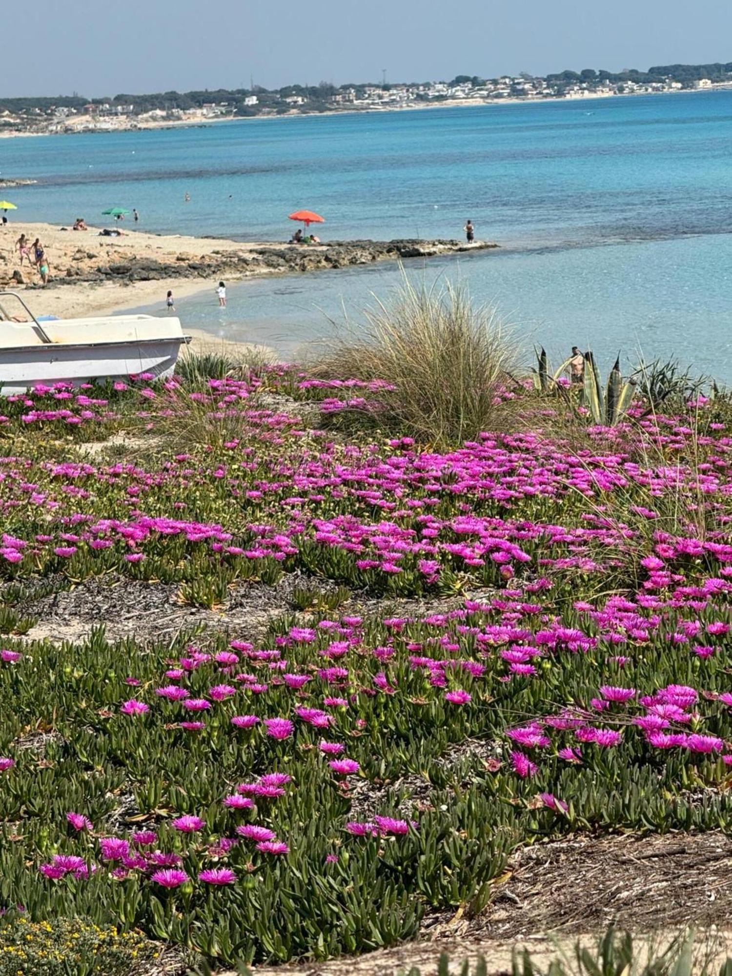 Villa Torretta - Mare Salento Marina di Lizzano Exteriör bild
